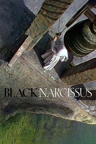 /uploads/images/black-narcissus-thumb.jpg